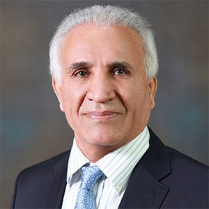 Bijan Kavandi